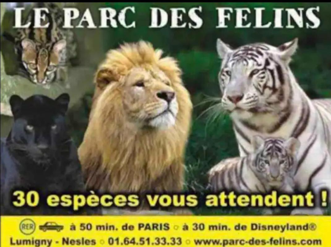 Independant Dans Maison *